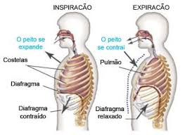 Respiração diafragmática: Guia definitivo. - História e Arte